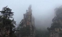 张家界爆料视频,揭秘自然奇观背后的故事